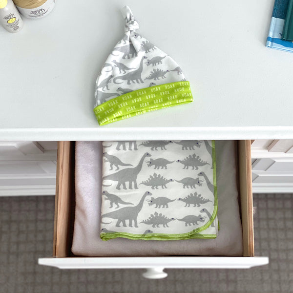 Grey Dinosaurs Organic Cotton Knit Swaddle Blanket & Hat Set